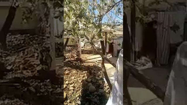 Сломали за неделю смотреть онлайн
