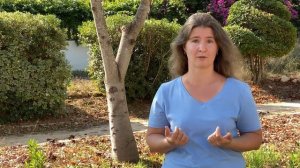 Сколько МЯСА давать собаке?