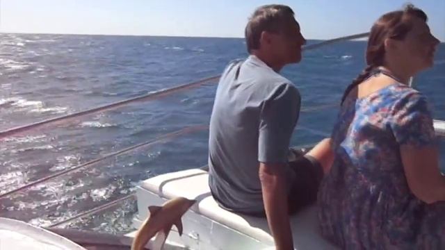 Заметки бывалых на морской прогулке смотреть онлайн