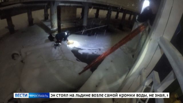 В новогодние каникулы сотрудники Центра гражданской защиты дважды спасали жизни четвероногих друзей смотреть онлайн