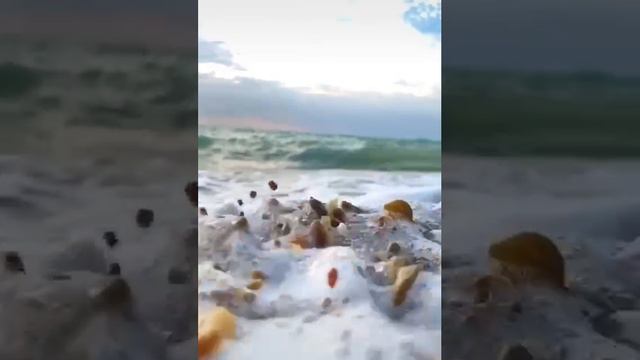 Video_2024-08-04_15-58-03