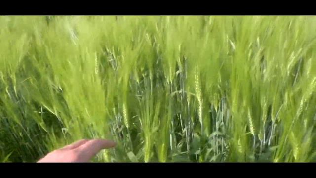 "Красавица Ока", 21-25 июля 2016 года. Белоозерский туристический клуб «РОБИНЗОН». смотреть онлайн