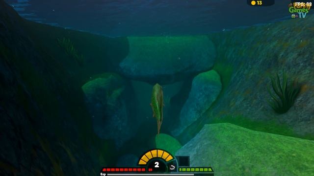 Я БОЛЬШАЯ ХИЩНАЯ РЫБА веселое видео в необычной игре Feed and Grow Fish от Funny Games TV смотреть онлайн