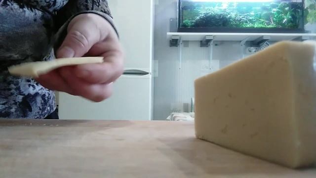 ПЯТЬ способов проверить КАЧЕСТВО СЫРА ТИЛЬЗИТЕР на ПАЛЬМОВОЕ масло дома из магазина СВЕТОФОР. смотреть онлайн