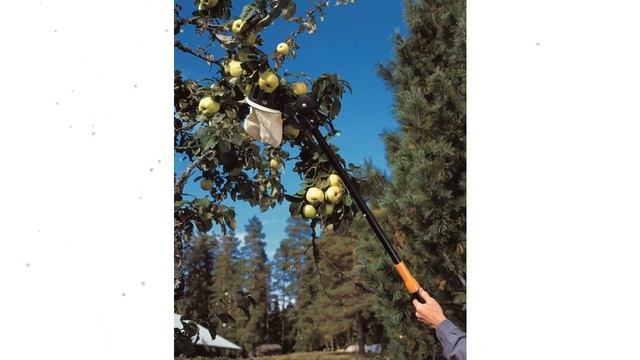 Корзинка для сбора фруктов UP80 (Fiskars) обзор 1001562 производитель Fiskars Group (Финляндия) смотреть онлайн