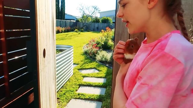 NAZ LOST HER GUINEA PIG смотреть онлайн