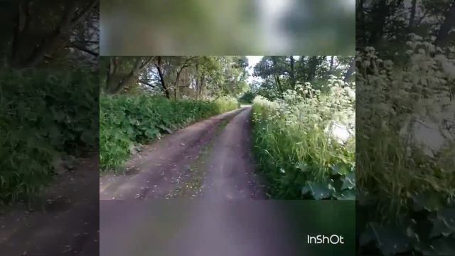 Я на даче / Гуляю / Лето / Грустненько(хз почему) смотреть онлайн