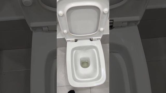 Нео Римлесс. Безободковый унитаз сантек. смотреть онлайн