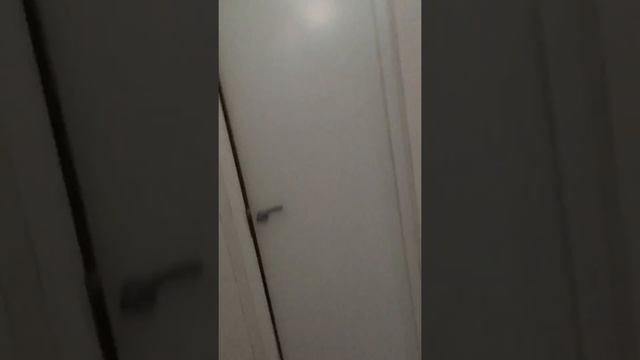 Рысь по имени Джеси смотреть онлайн