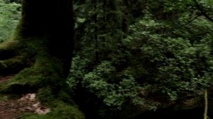 Мостовской район, красивые места, поселок Соленое, водопады Кызыл-бек.