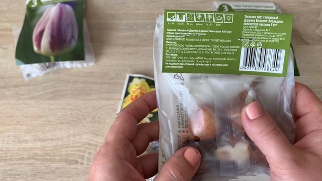 Что посадить осенью. ???Покупка и Обзор Тюльпанов ???Посадка луковиц ? Нарциссы. смотреть онлайн