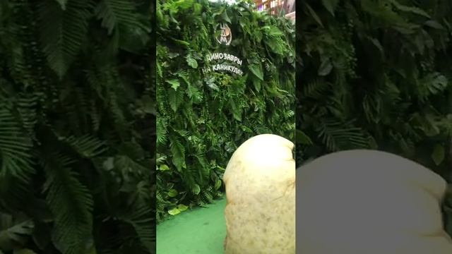 Интересная локация для детей и красивых фото. Динозавры на каникулах в Центральном детском мире смотреть онлайн