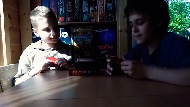 Летсплей по игре "Взрывные Котята" смотреть онлайн