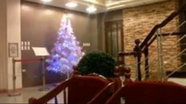 Regal Plaza Hotel Nabua смотреть онлайн