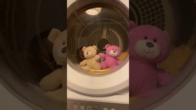 Teddy adventures #1 смотреть онлайн