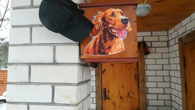 Кормушка для собак, полуавтоматическая смотреть онлайн