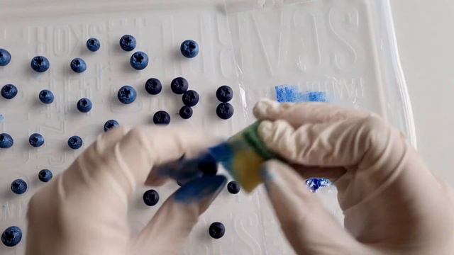 How i tint & varnish blueberries. Polymer clay decor смотреть онлайн