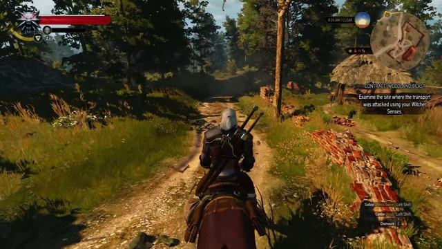 Squirrel Ambush - The Witcher 3 Wild Hunt PC Playthrough Part 37 смотреть онлайн