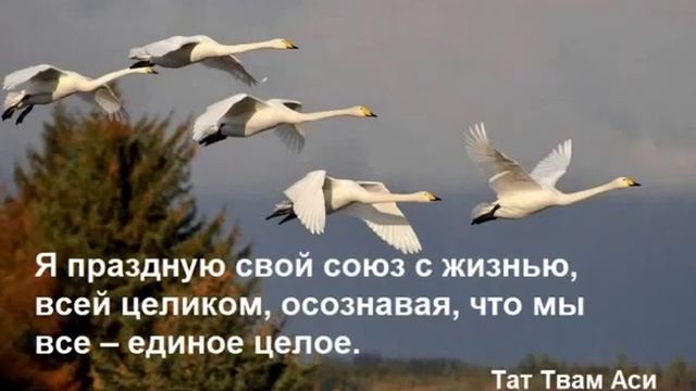 18 День Медитация Жизнь В Единстве смотреть онлайн