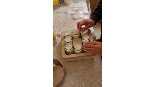 Чем кормить собак. Часть 2. #Shorts смотреть онлайн