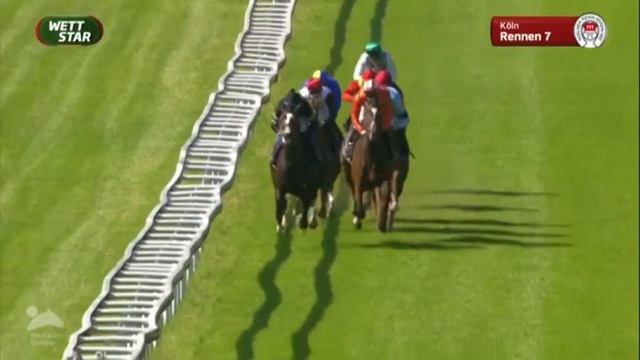 Weidenpescher Steher Cup - Listenrennen смотреть онлайн