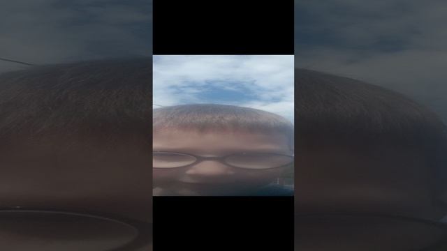 ИСТОРИЯ ПРО МЕНЯ смотреть онлайн