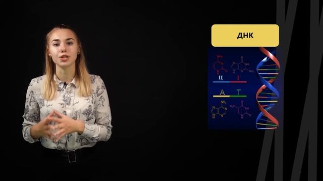 Нуклеиновые кислоты | Биология смотреть онлайн