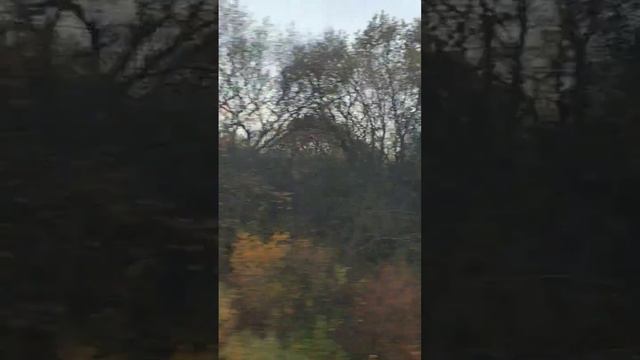 ДИВНЫЙ ТУМАН НАД ПОЛЯМИ и криповые звуки поезда смотреть онлайн