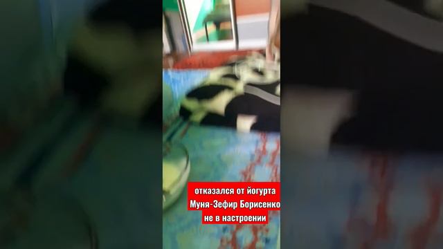 ЗЕФИРА БОРИСЕНКО НЕЛЬЗЯ БРОСАТЬ ИНАЧЕ ОН ОТ ЕДЫ ОТКАЗЫВАТСЯ смотреть онлайн