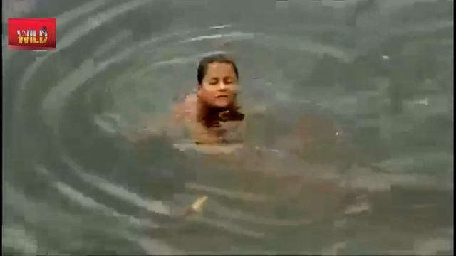 Опасные Леса Амазонки.Джунгли Латинской Америки смотреть онлайн