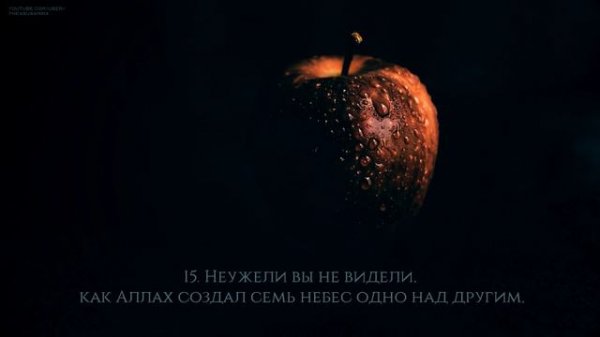 Ахмад Асвиди [Ahmed Asweedy].Сура Нух.