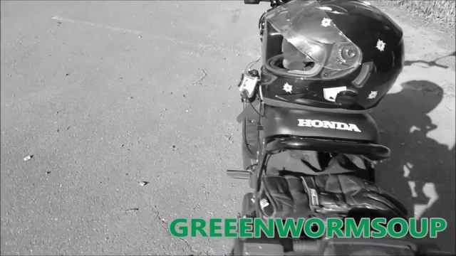 HONDA RUCKUS PHOTOS & WALKAROUND VIDEO