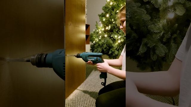 ШОК! Где живут морские свинки. Сестра строит Новый дом для кабанов. часть 1. смотреть онлайн