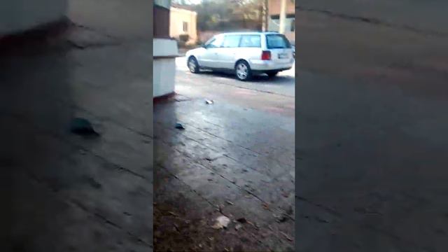 Лудите момичета част 2 смотреть онлайн