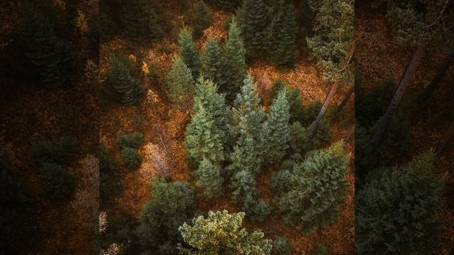 Глубокий сон отдыхает белый шум смотреть онлайн