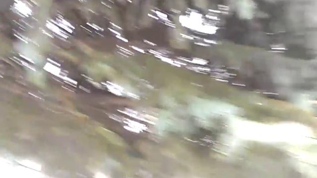 Крысобелка смотреть онлайн