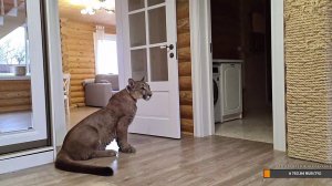 Прямой эфир. 11 апреля