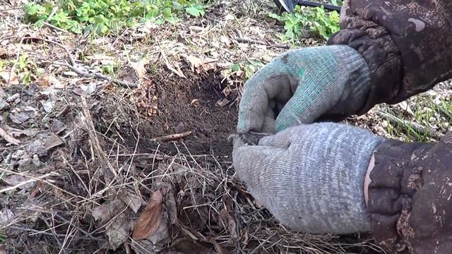 Deus заводские настройки..