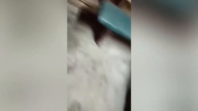 Прикол. Почистил Печь. Ржака? смотреть онлайн