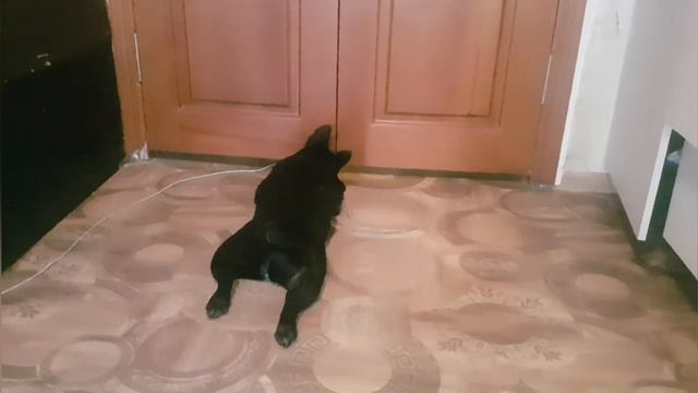 Готовлю еду// Подключаю смарт-часы avon смотреть онлайн