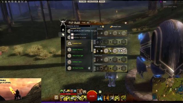 Guild Wars 2: Condition Ranger PvP Build 8/6/14 смотреть онлайн