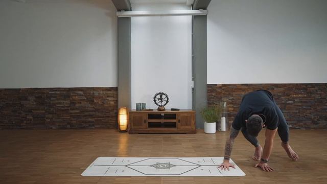 All Levels Animal Flow Based Yoga for BJJ Practice смотреть онлайн