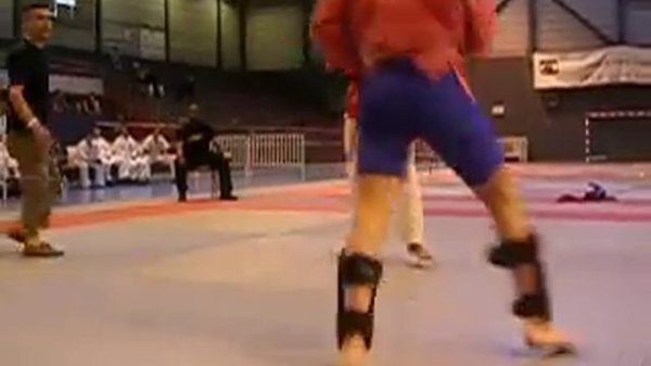 Sambo vs Karaté