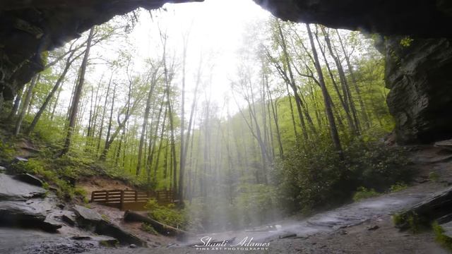 Абрахам Хикс – Вам не нужно объясняться – Эстер Хикс смотреть онлайн