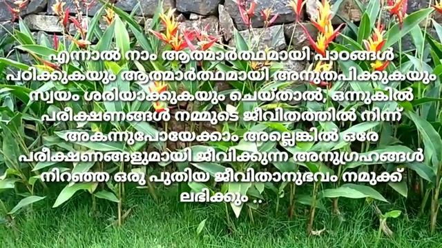Islamic Speech | Dr Muhammad shan | മുഴുവൻ മനുഷ്യവർഗത്തിനും പാഠം പഠിപ്പിക്കാൻ കൊറോണ ഞങ്ങളെത്തി .. смотреть онлайн