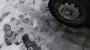 НИВА 2121. ПОКУПКА СТАРОЙ НИВЫ ПО САМОЙ НИЗКОЙ ЦЕНЕ. НИВА ПРОЕКТ.