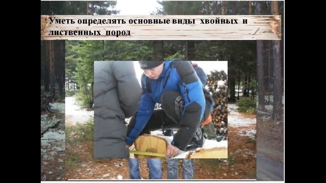 Профессия Лесовод смотреть онлайн