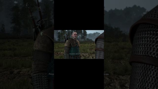 Ведьмак 3: Дикая Охота / СБОР! / #shorts
