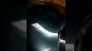 Опель омега не заводится на холодную ответ на все причины