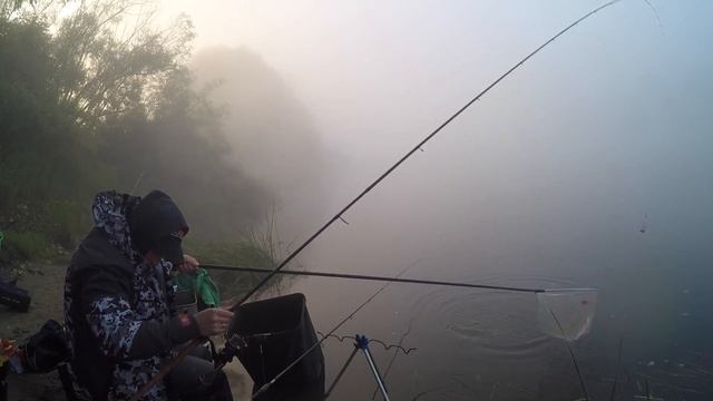 Густера и Белоглазка не давали скучать.Рыбачим на реке Мокша на фидер и донки. Рыбалка в Рязани смотреть онлайн